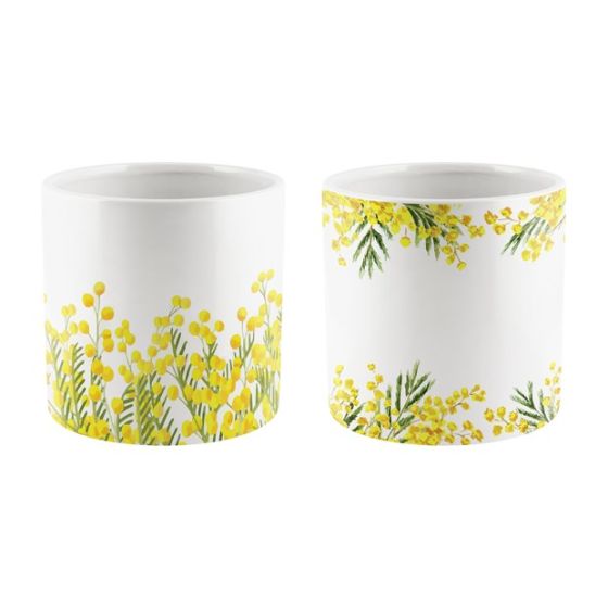 CILINDRO CERAMICA MIMOSA ASSORTITO
