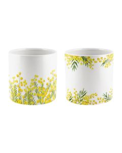 CILINDRO CERAMICA MIMOSA ASSORTITO