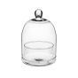 TERRARIUM CUPOLA VETRO