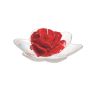 ROSA AMORE ROSSA LACCATA CON EF-52