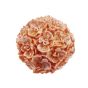 SFERA C/ORCHIDEA GRAND ARANCIO PERLA