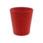 VASO ORCHIDEA ROSSO