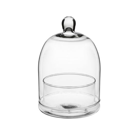 TERRARIUM CUPOLA VETRO