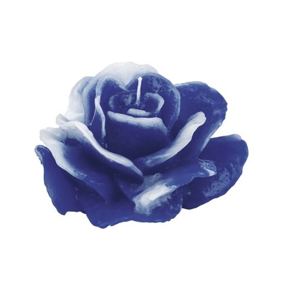 ROSA AMORE BLU CERA