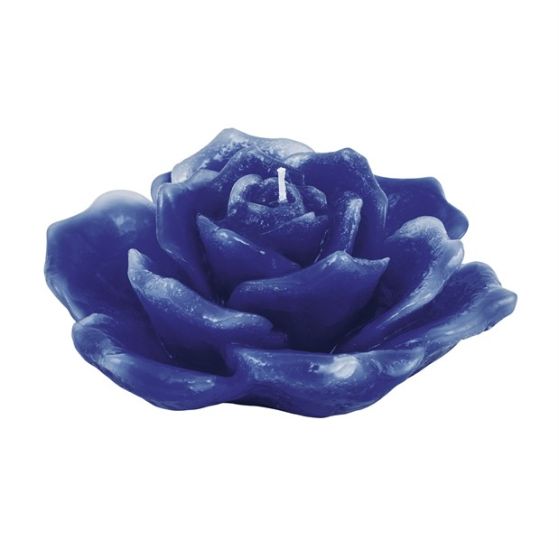 ROSA TENERA BLU CERA