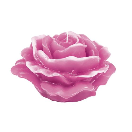 ROSA DOLCE ROSA CERA