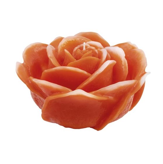 ROSA VERGINE ARANCIO CERA