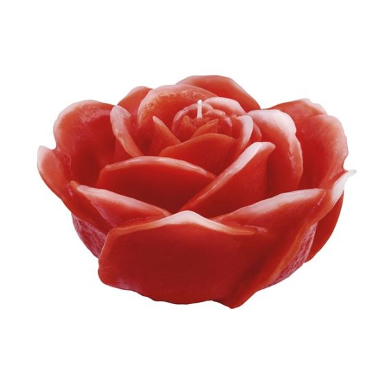 ROSA VERGINE ROSSA CERA