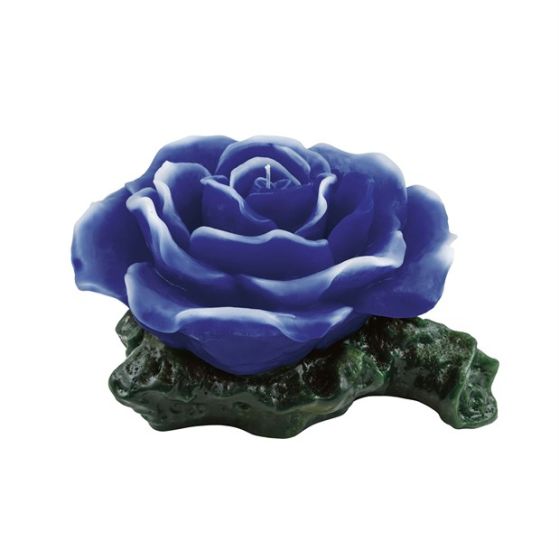 ROSA CON TRONCO BLU CERA