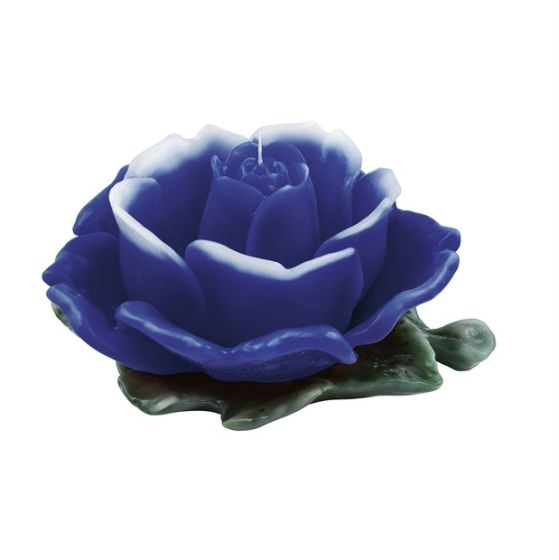 ROSA DIVINA BLU CERA